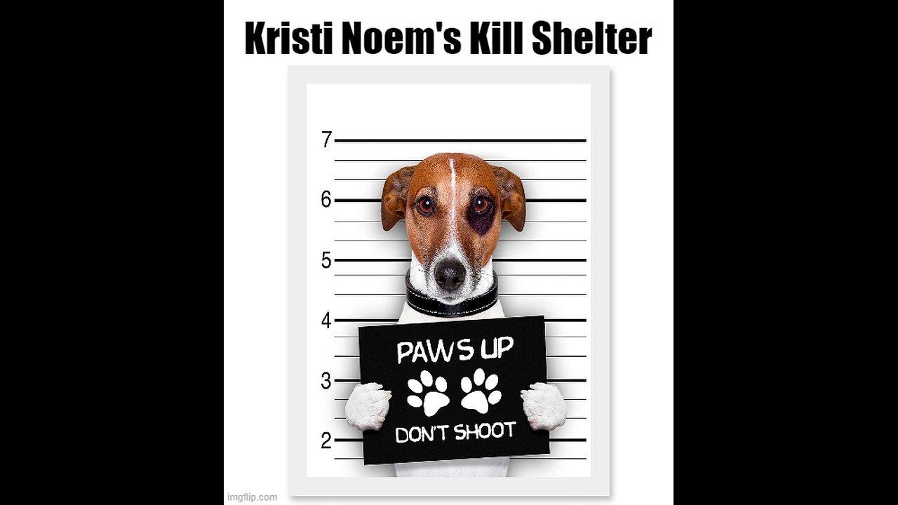 The Controversial Tale of Kristi Noem she killed her dog