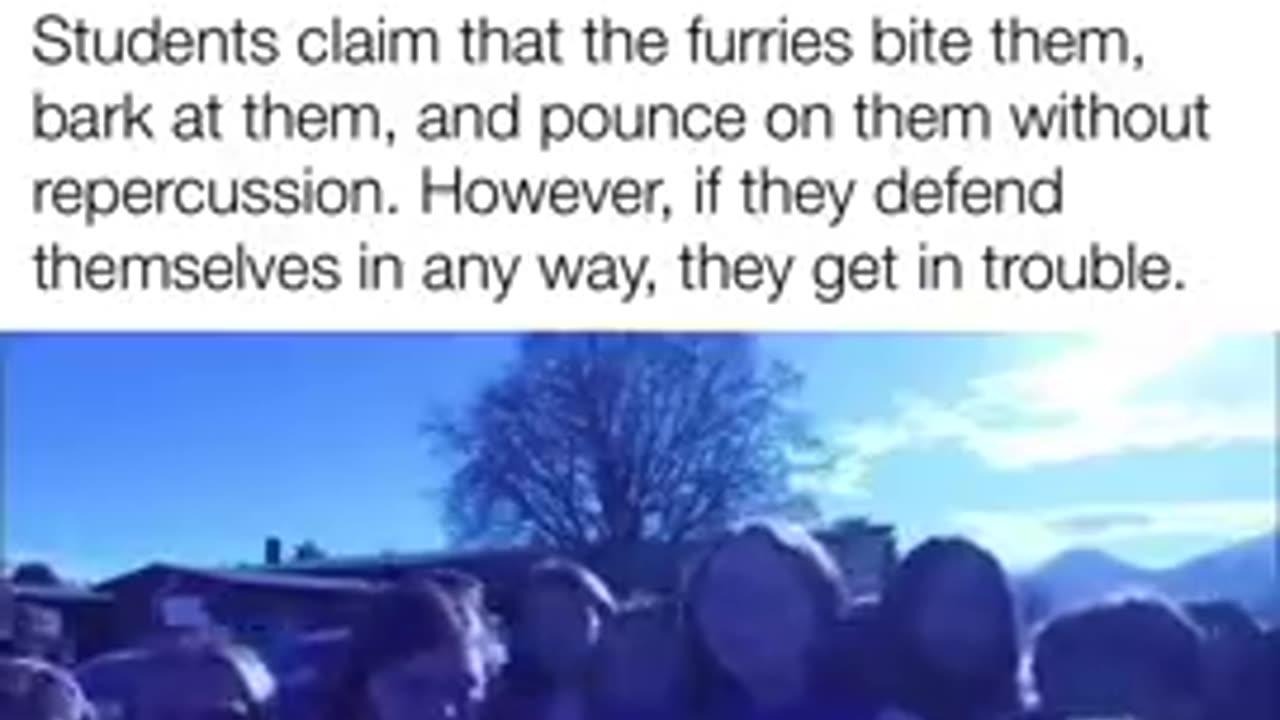 Children Forced to Protest the Furries in their School