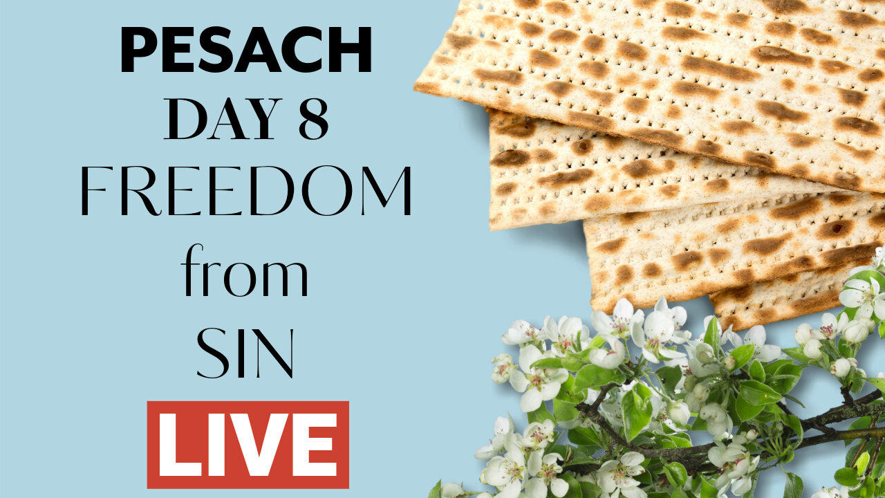 Pesach - Day 8 - Freedom from Sin - Live Q&A