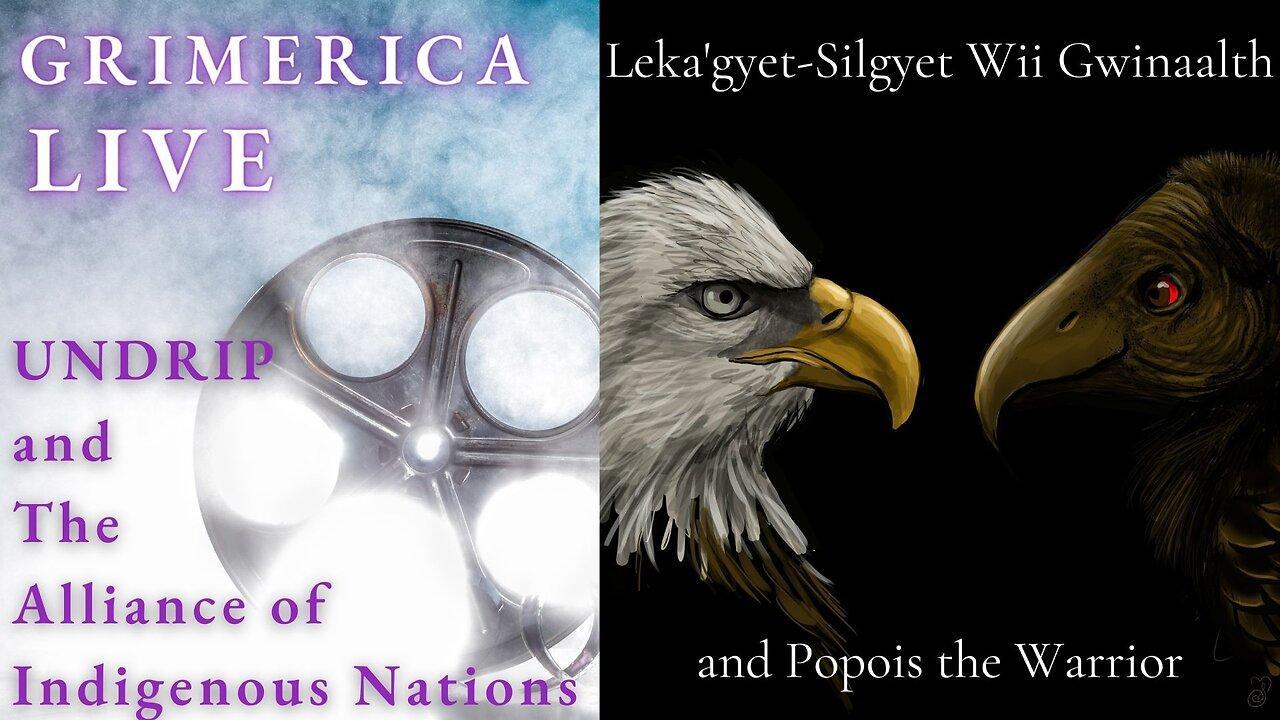 Leka'gyet-Silgyet Wii Gwinaalth and Popois the Warrior - UNDRIP and The Alliance