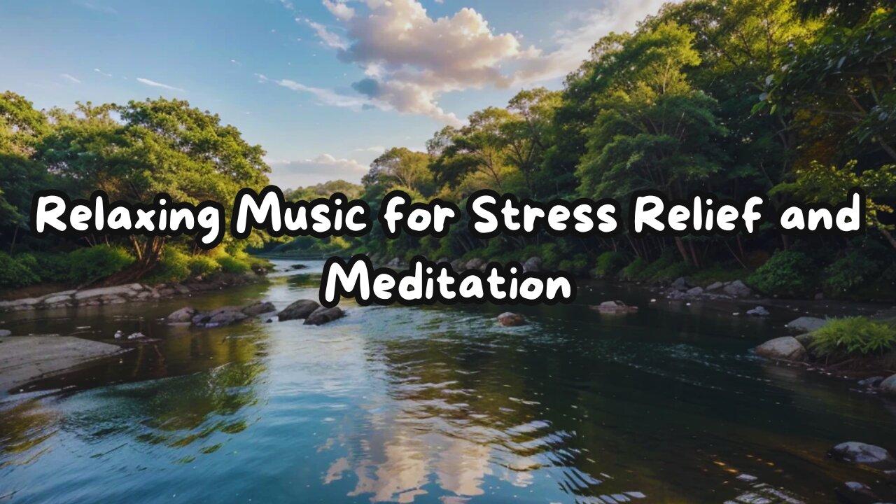 Soothing Birdsong: Relaxing Music for Stress Relief and Meditation