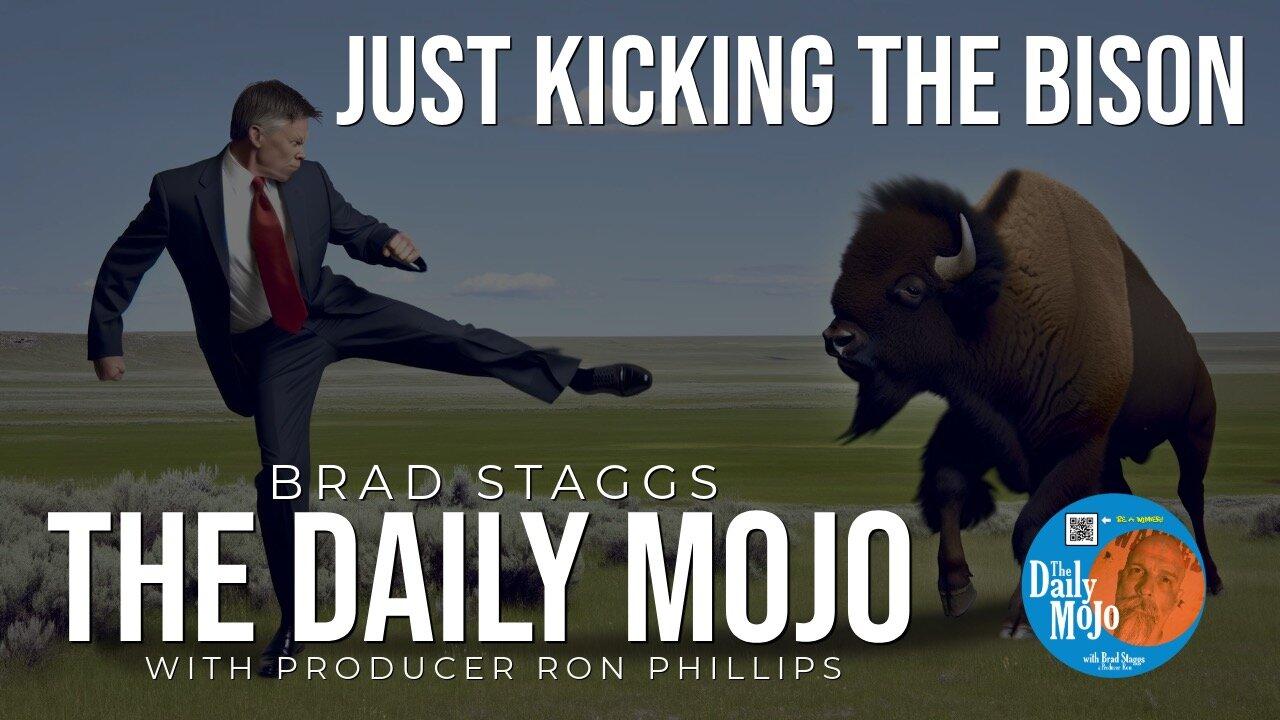 LIVE: Just Kicking The Bison  - The Daily Mojo