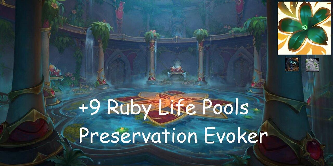 +9 Ruby Life Pools | Preservation Evoker | Tyrannical | Storming |  | #142