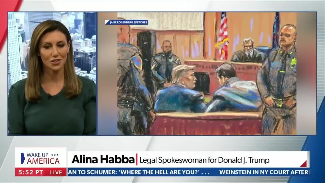 Alina Habba: Donald Trump's entire N.Y. trial is a hoax