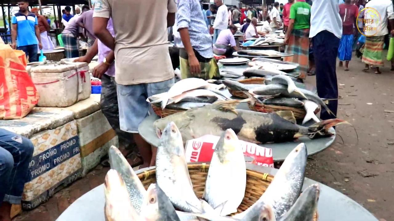 big fish market in Mawa dhaka bangladesh