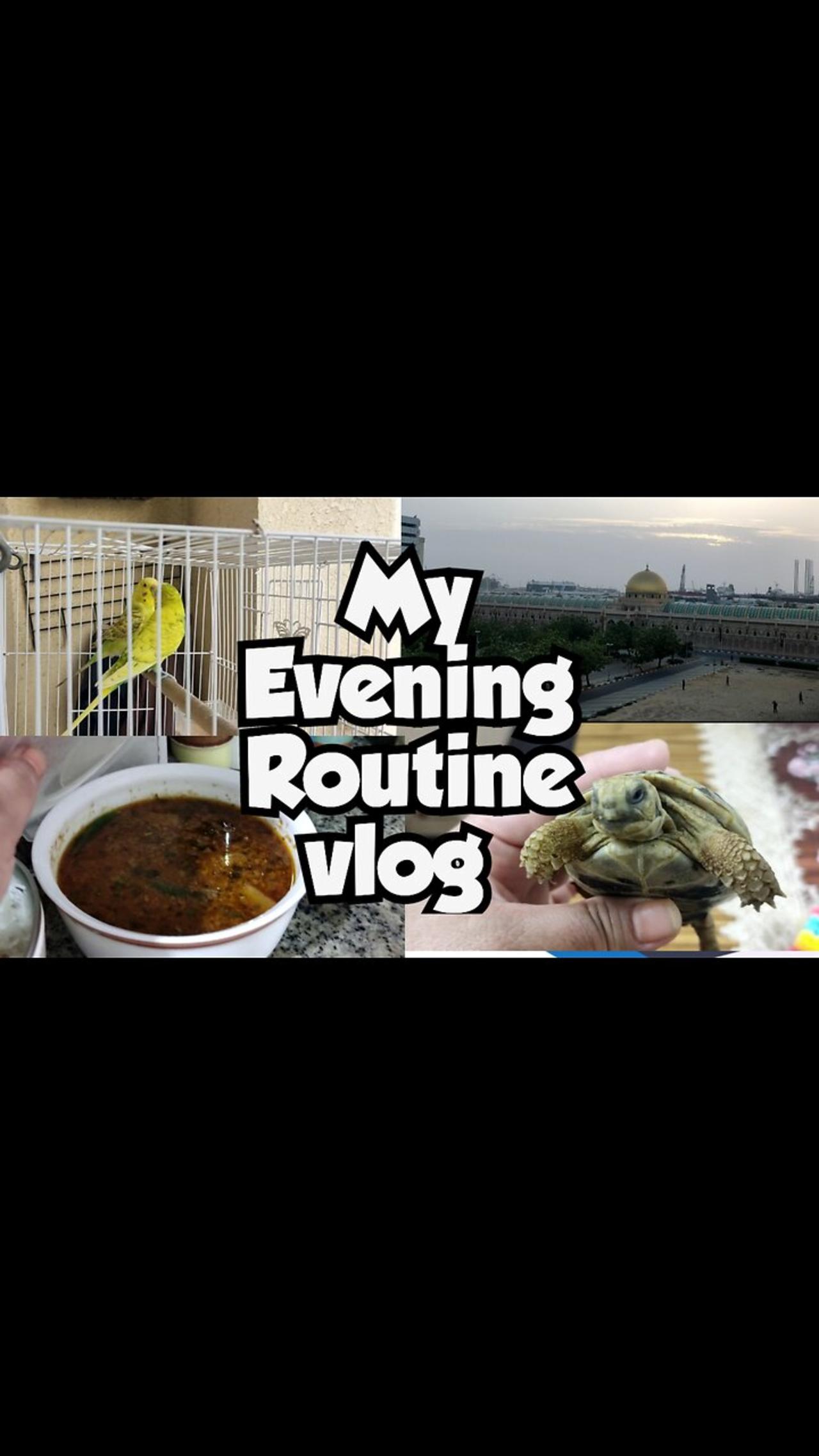 Evening Routine Vlog Cooking LEGO Ship and Turtle Time| My Routine in UAE Sharjah | Tuba Durrani C&M