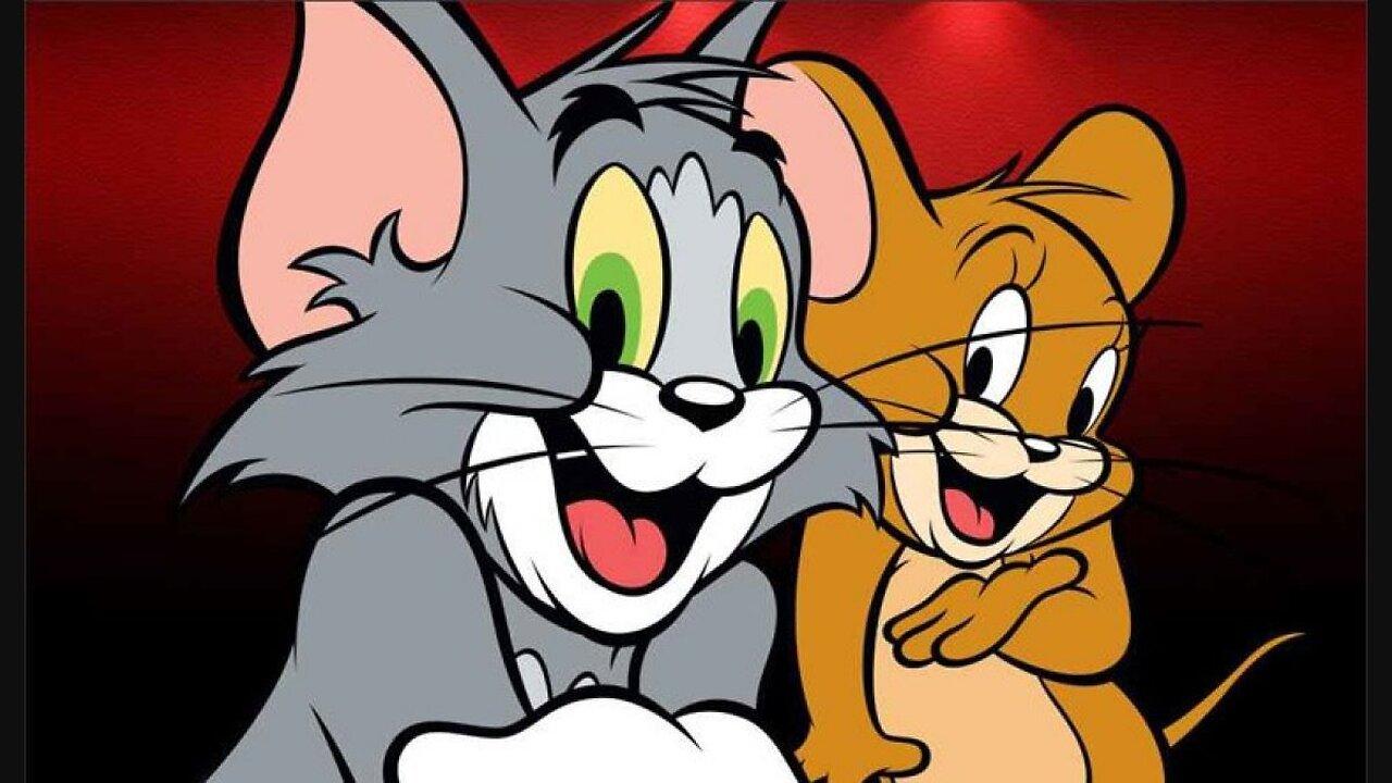 Tom and Jerry | Tom & Jerry New Cartoon | Cartoons For Kids |