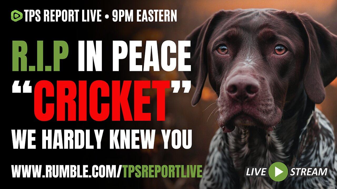 R.I.P. IN PEACE "CRICKET" • VIOLENT RACISTS WANT HUMANITARIAN UBER EATS • 9pm ET