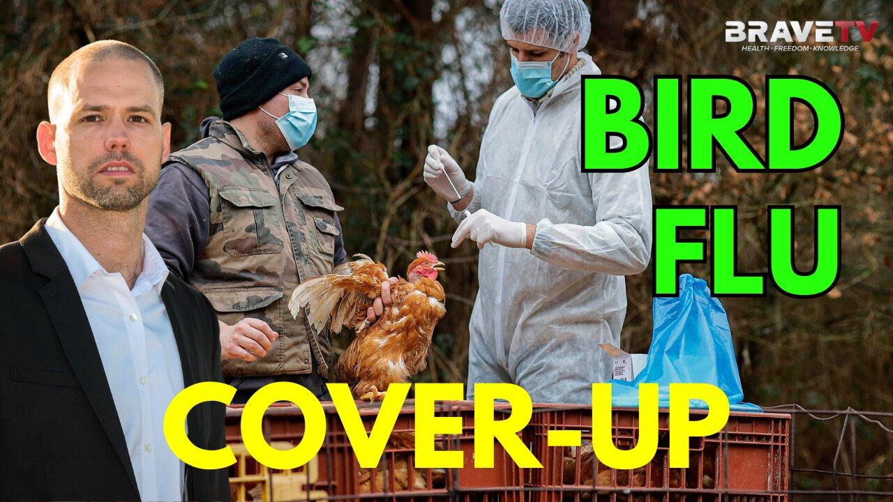 Brave TV - Ep 1767 - The 2020 Bird/Avian Flu PANDEMIC & Covid SMoke Screen - Trump Guides America Through Hell