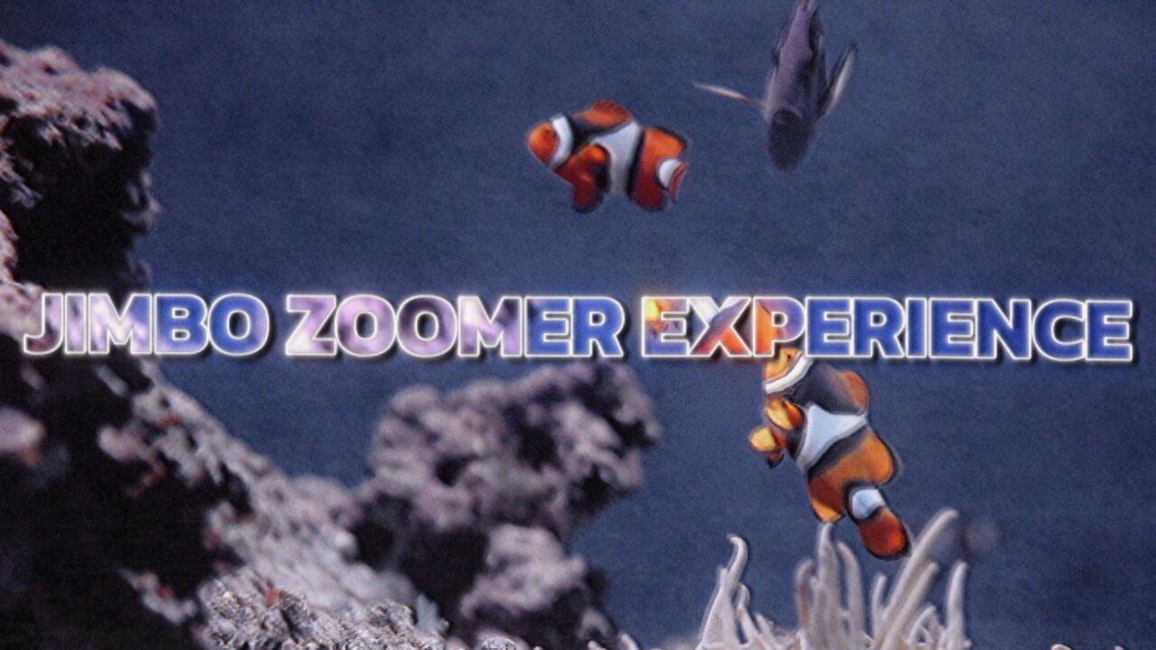 The Friday Jimbo Zoomer Experience™