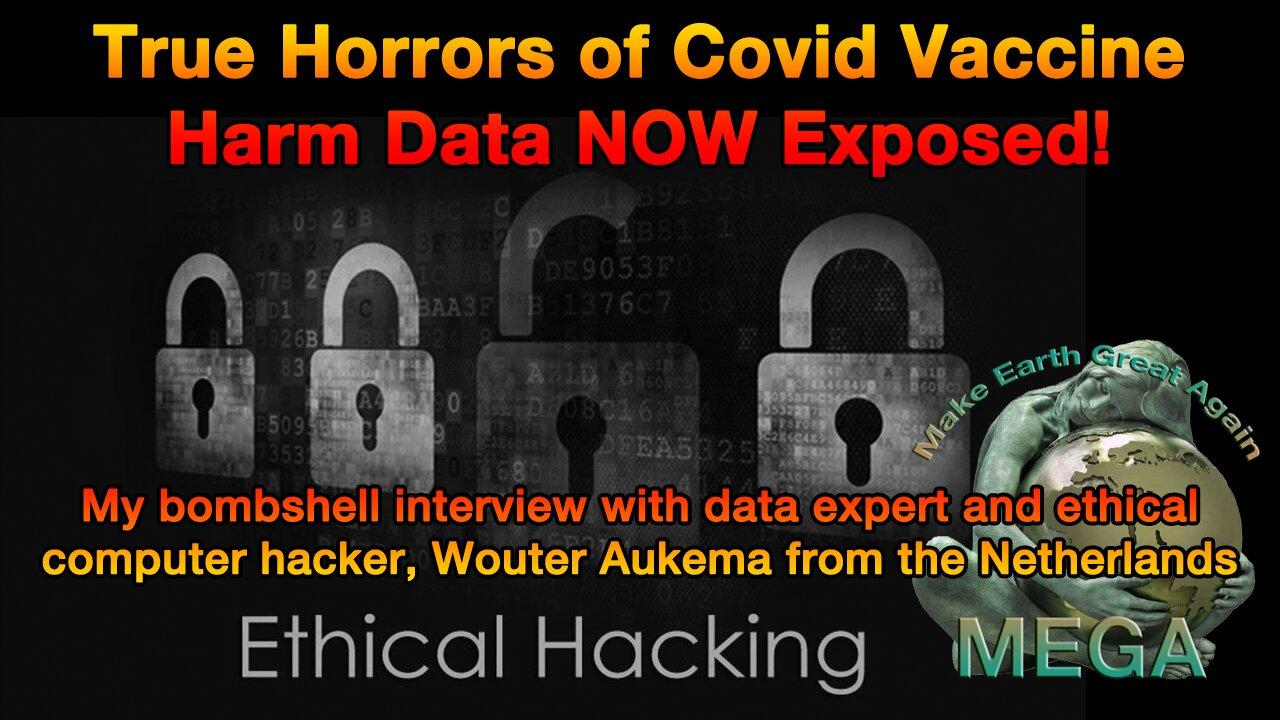 True Horrors of Covid Vaccine Harm Data NOW Exposed! -- My bombshell interview with data expert and ethical computer hacker, Wou