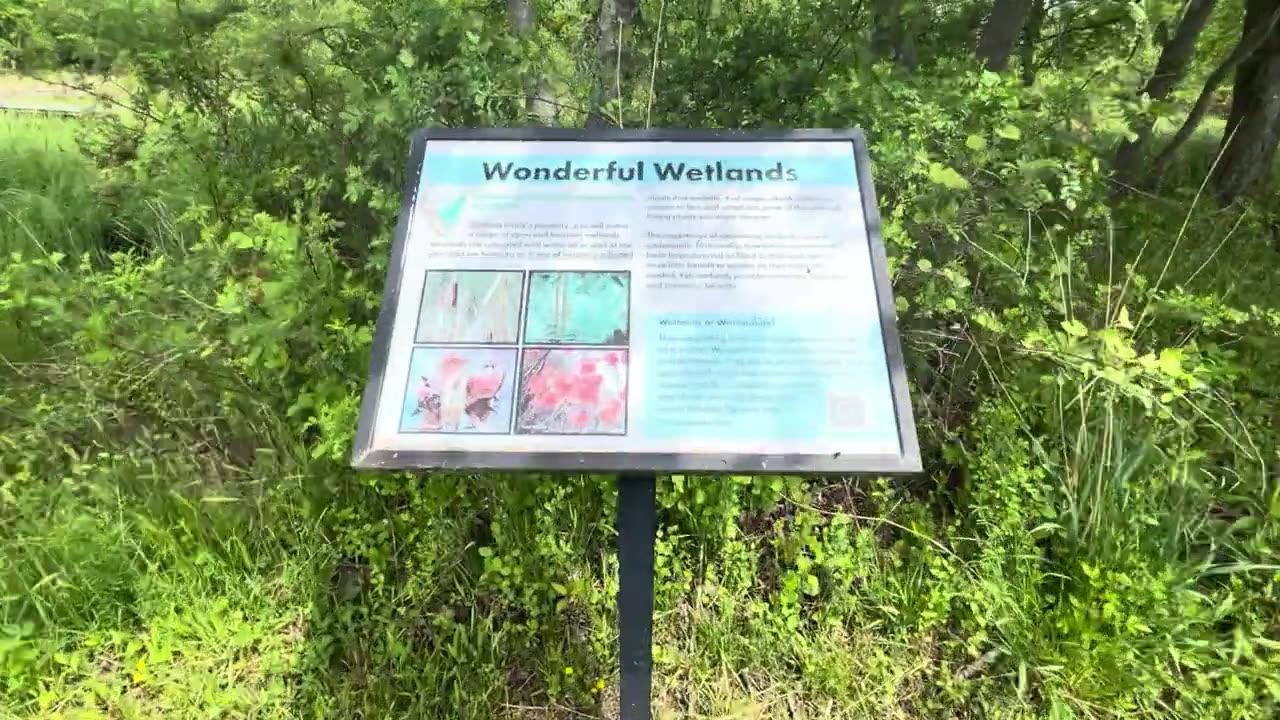 Wonderful Wetlands