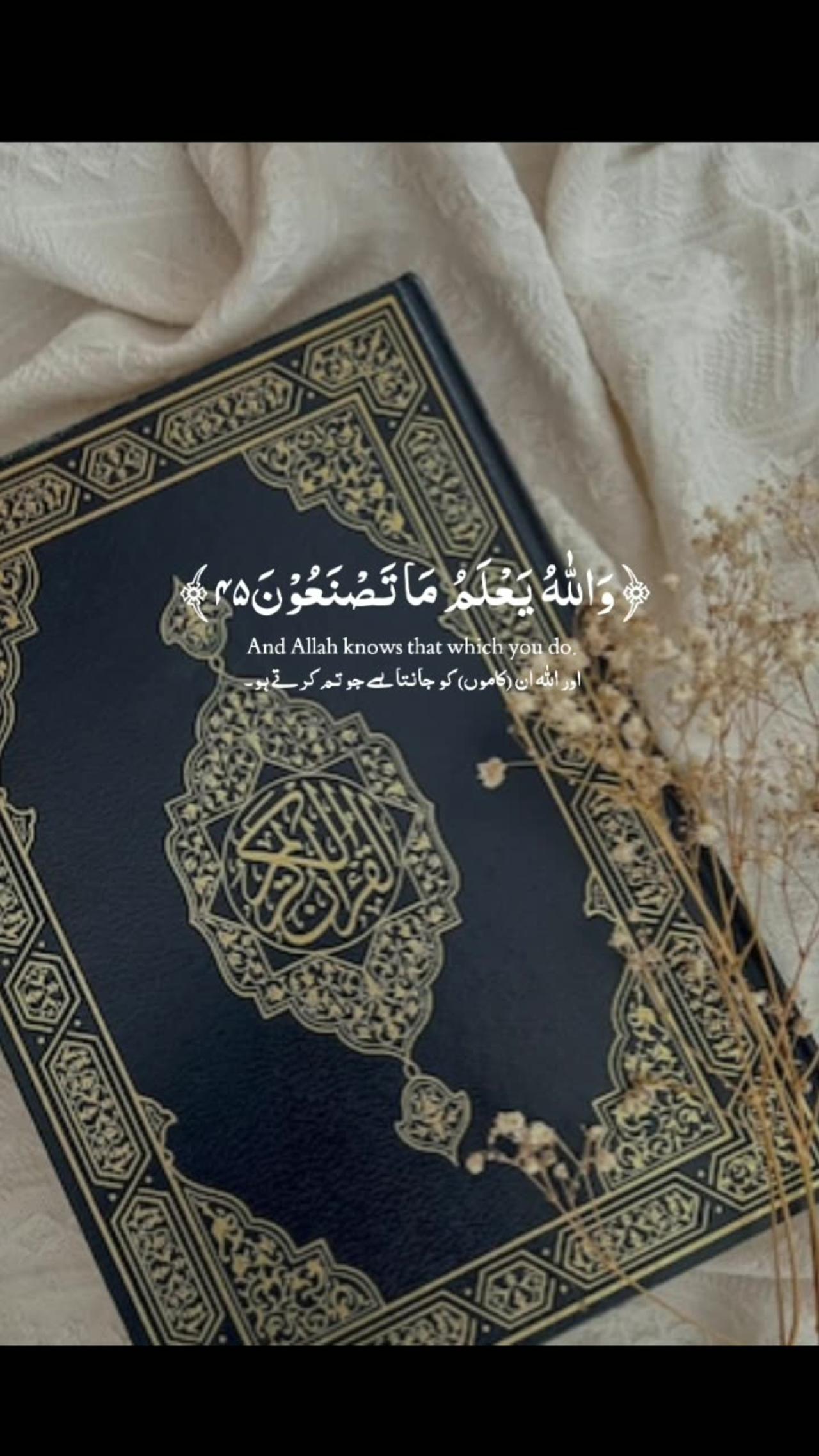 Quran verses