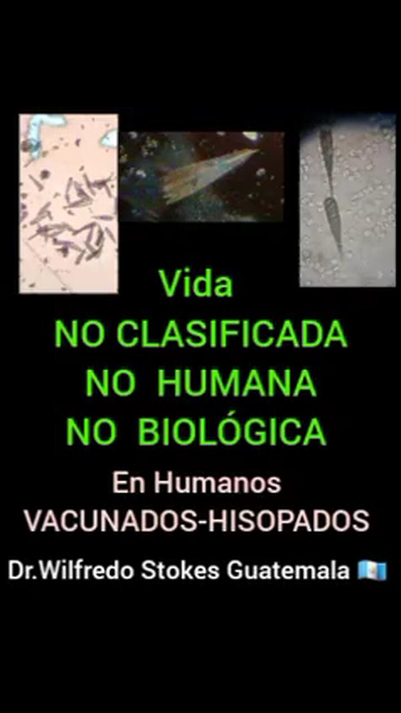Vida no clasificada no humana no biológica en vacunados e hisopados