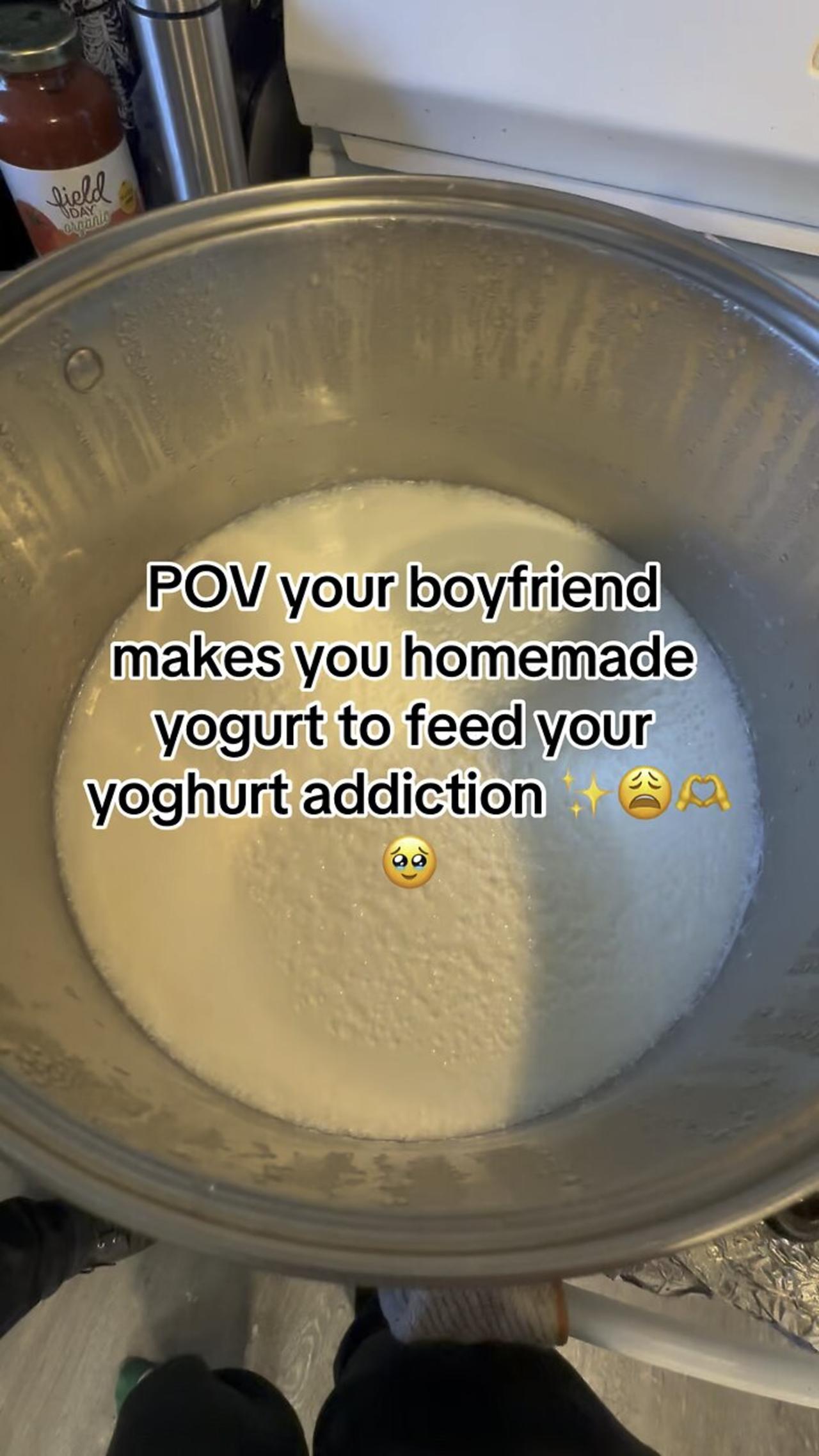 my American boyfriend made me homemade yogurt from scratch to feed my yoghurt addiction #yogurt