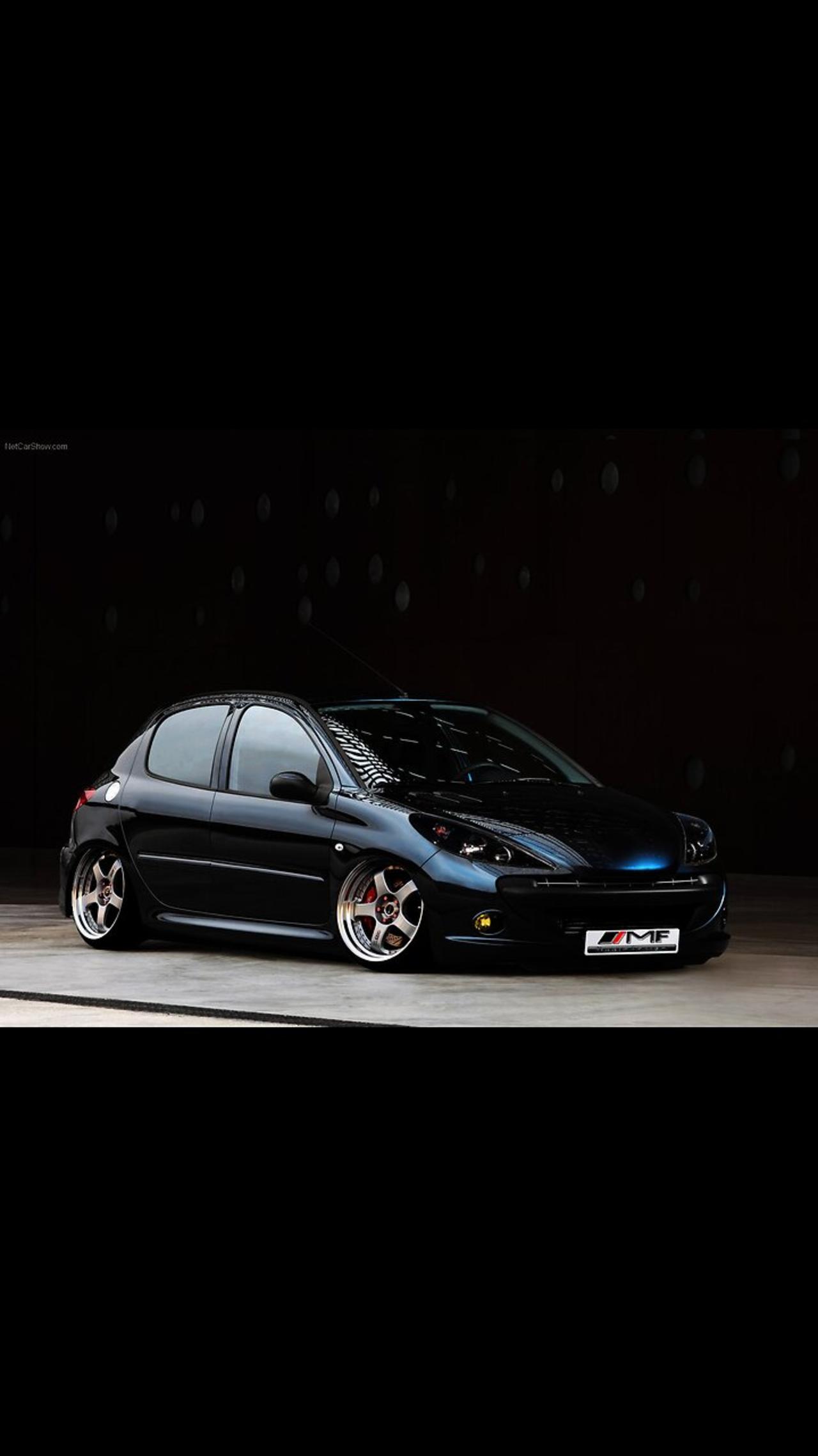 "My Own Peugeot 206: Exploring the Coolest and Most Captivating Features"