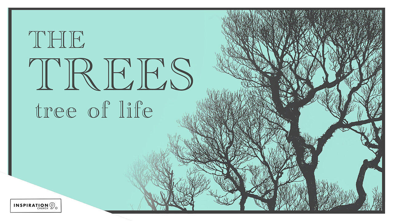 The Tree Series: Tree of Life // May 5, 2024