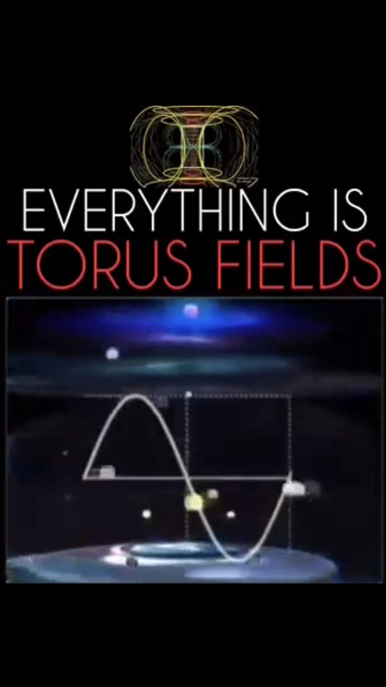 THE TORUS FIELD - Our and Mother GAIA'S Electromagnetic Field