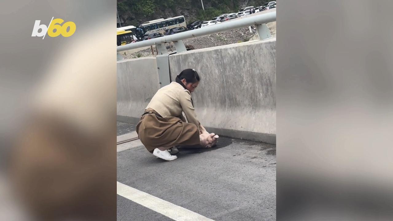 Watch a Woman Perform CPR on a Pig in a Traffic Jam