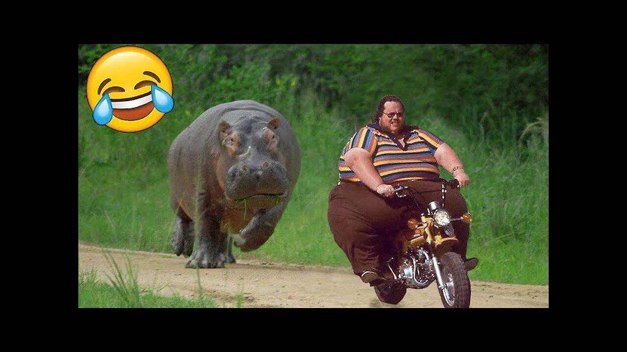 Best Funny Videos 🤣 - People Being Idiots - 🤣 Try Not To Laugh