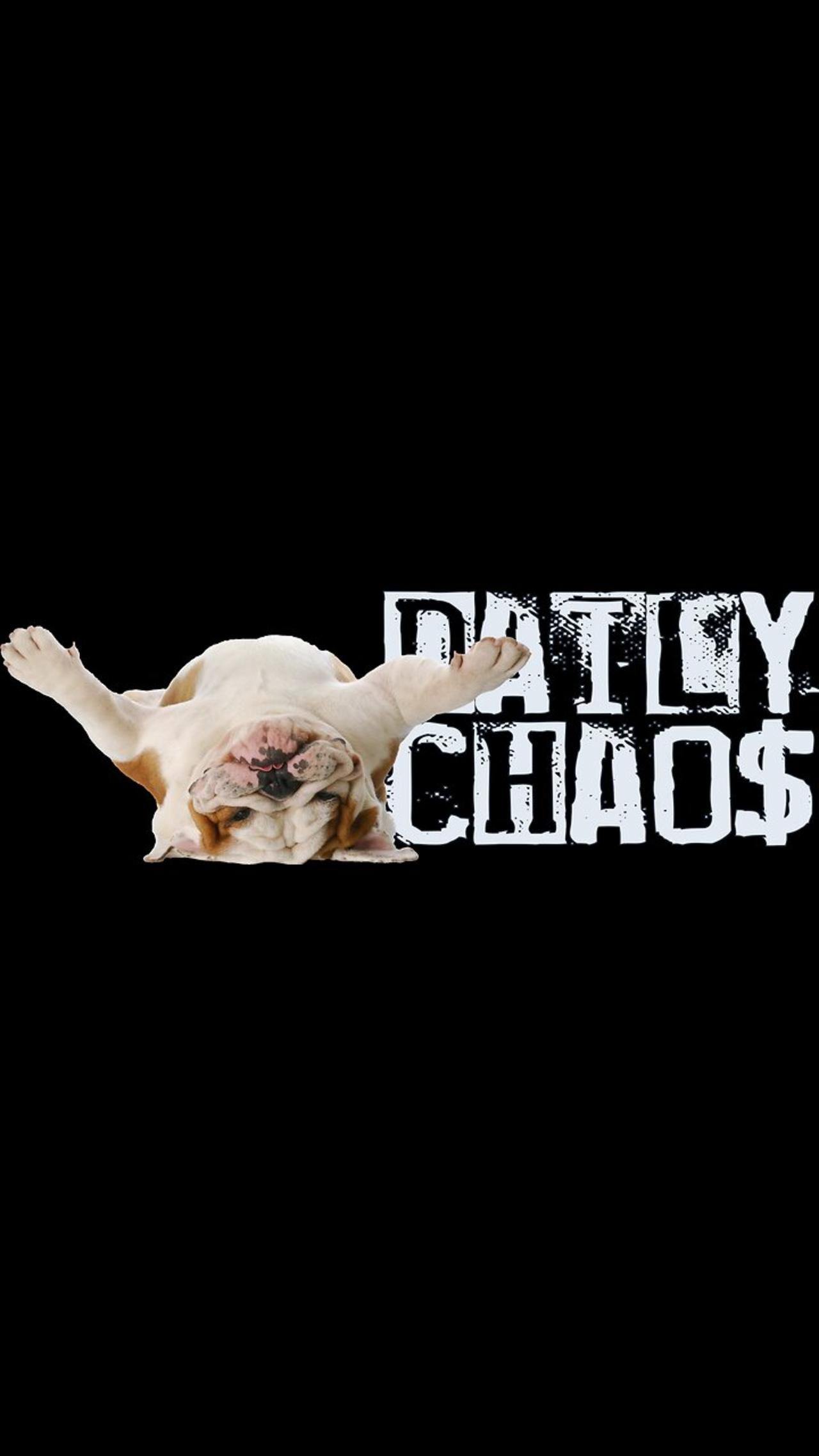 UPDATE ~ Daily Chaos
