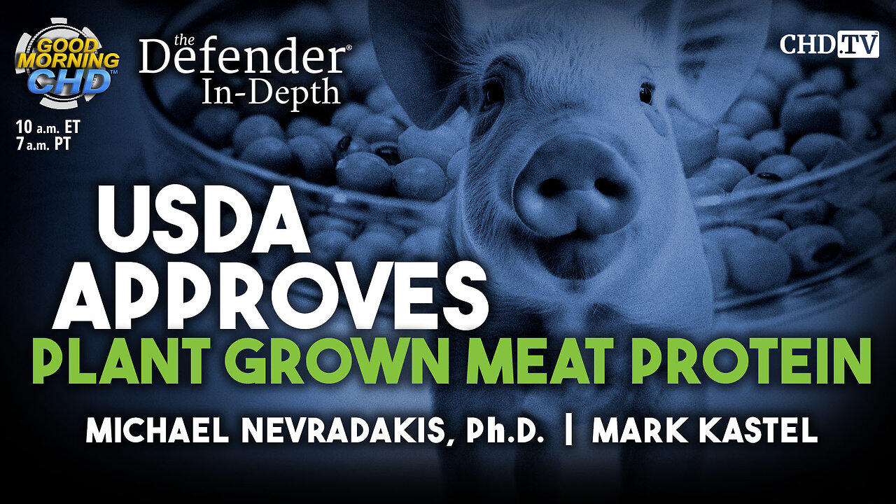 USDA Approves Plant Grown Meat Protein - One News Page VIDEO