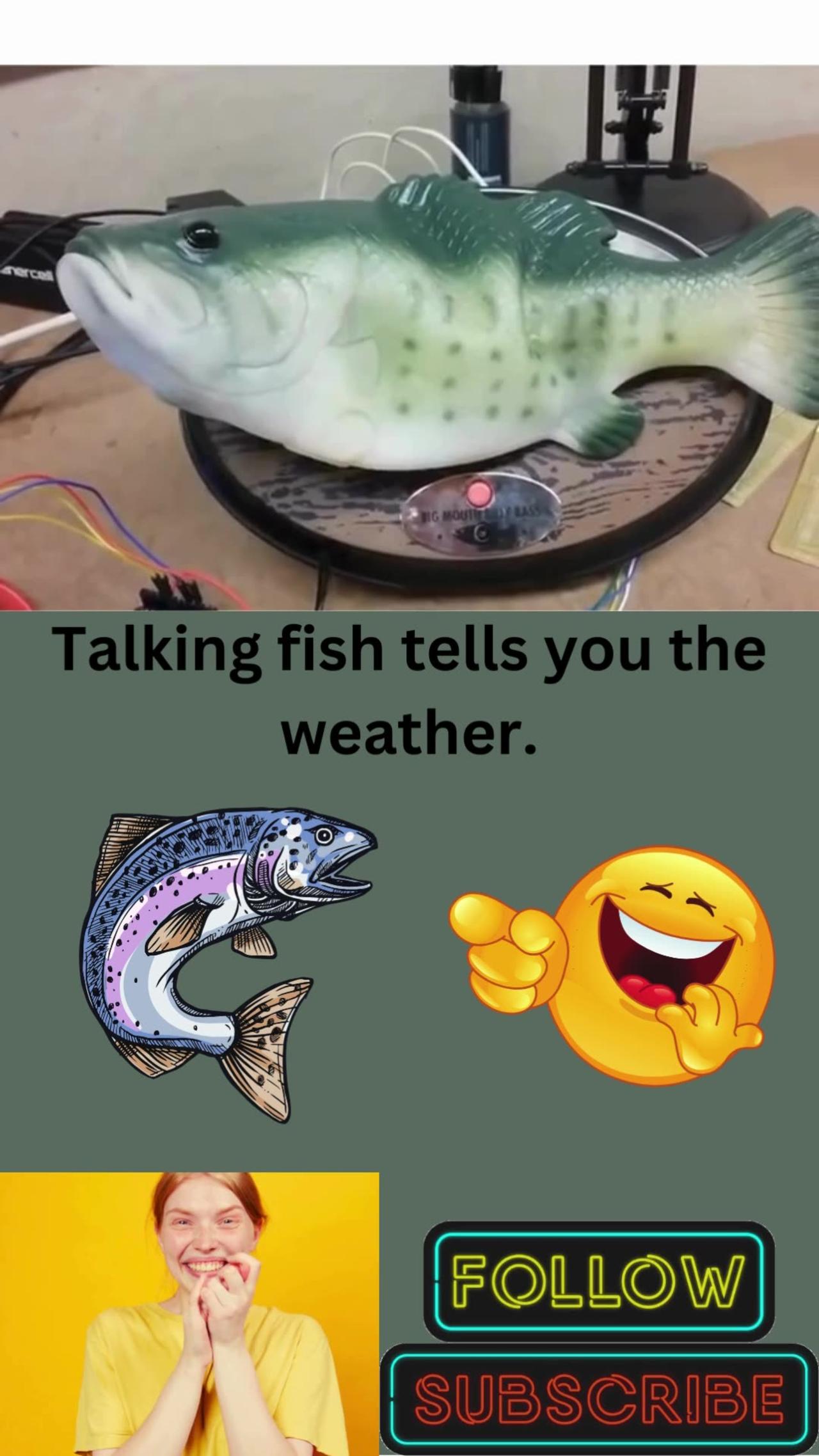 Talking fish tells you the weather!