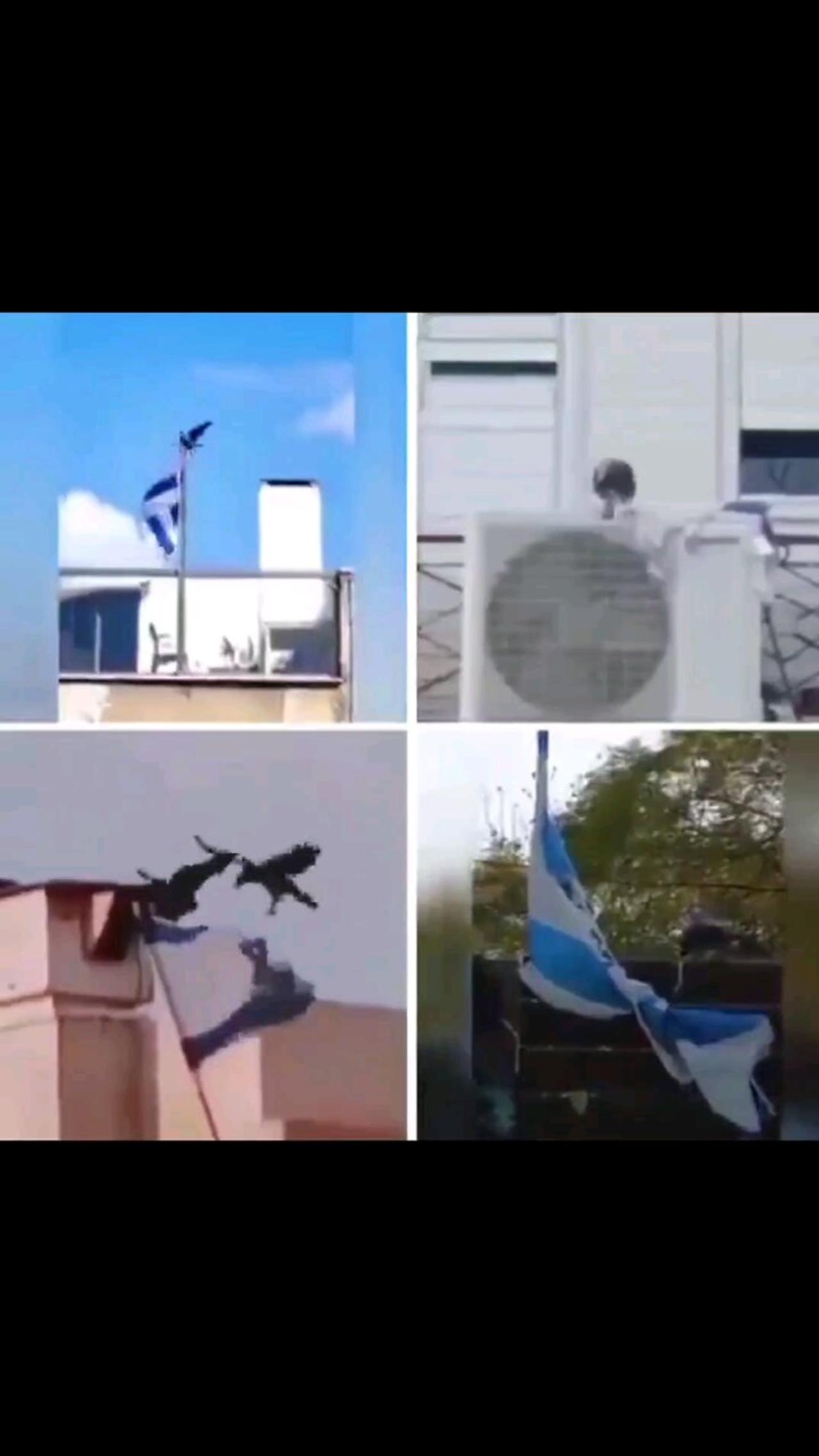 anti-semitic birds at work. deleting israel flags