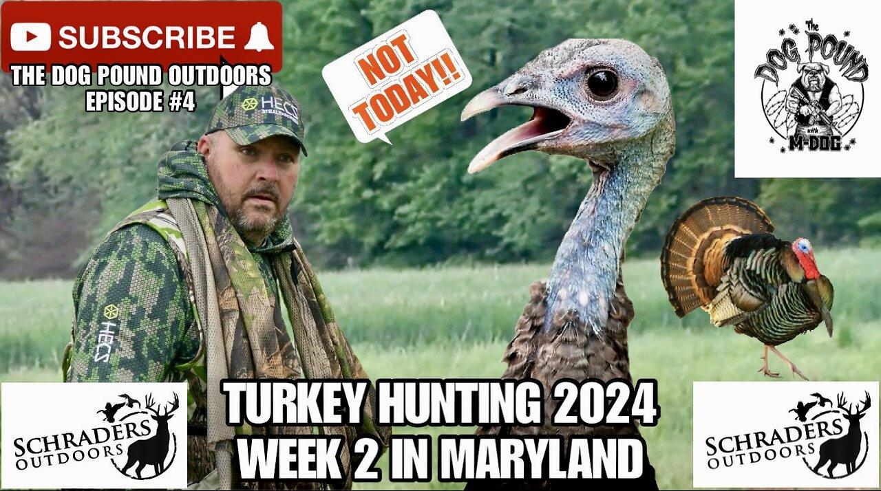 TURKEY HUNTING 2024! WEEK 2 IN MARYLAND AT SCHRADER’S OUTDOORS!