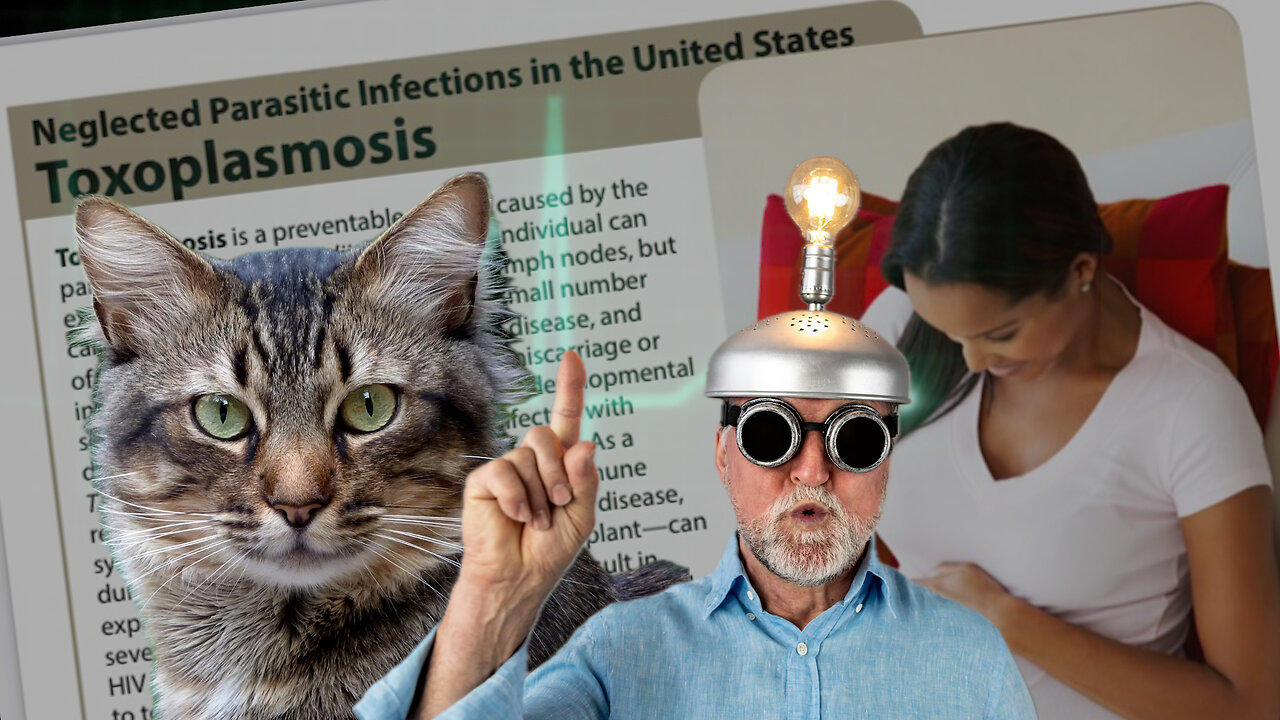 The Neglected, Brain Controlling Parasite Infection: Toxoplasmosis
