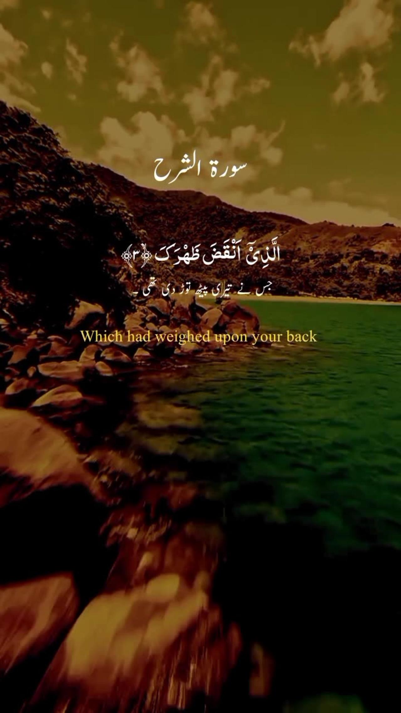 Quran Kreem ❤️‍🔥 Reaction Video