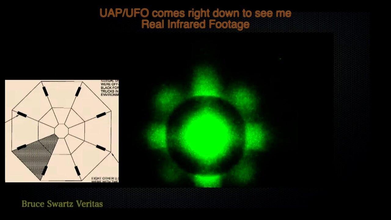 My Reply to Elon Musk's Search for proof - One News Page VIDEO