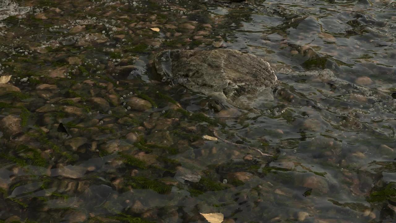 Tyflow 3Ds Max, Phoenix FD - River/Stream Simulation