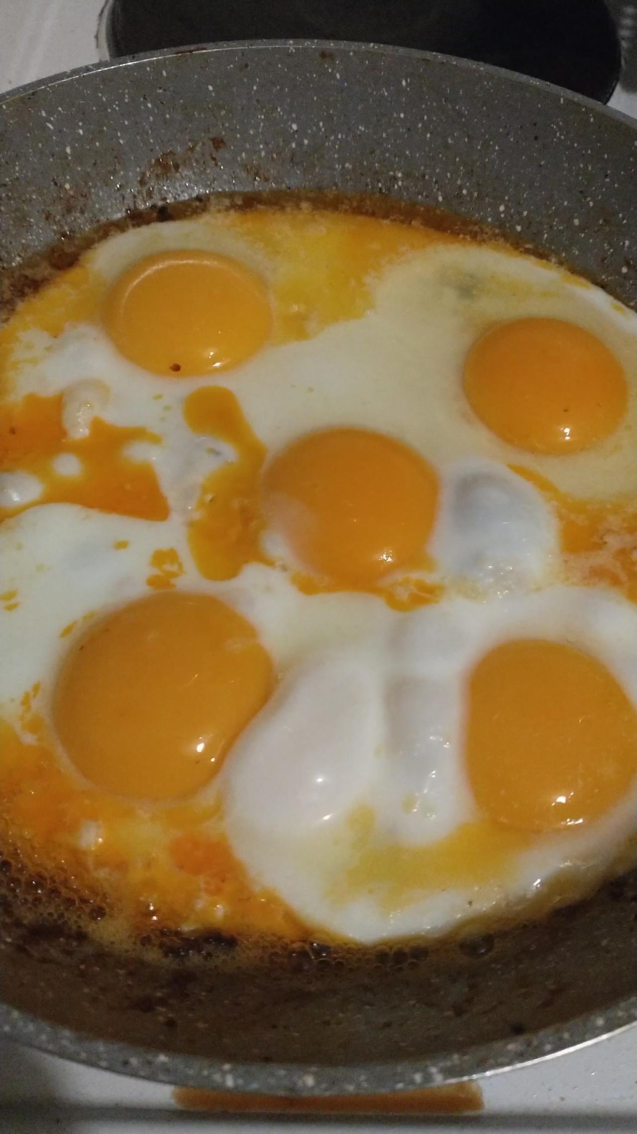 5 fried eggs, yummy and scrumptious | Carnivore Club
