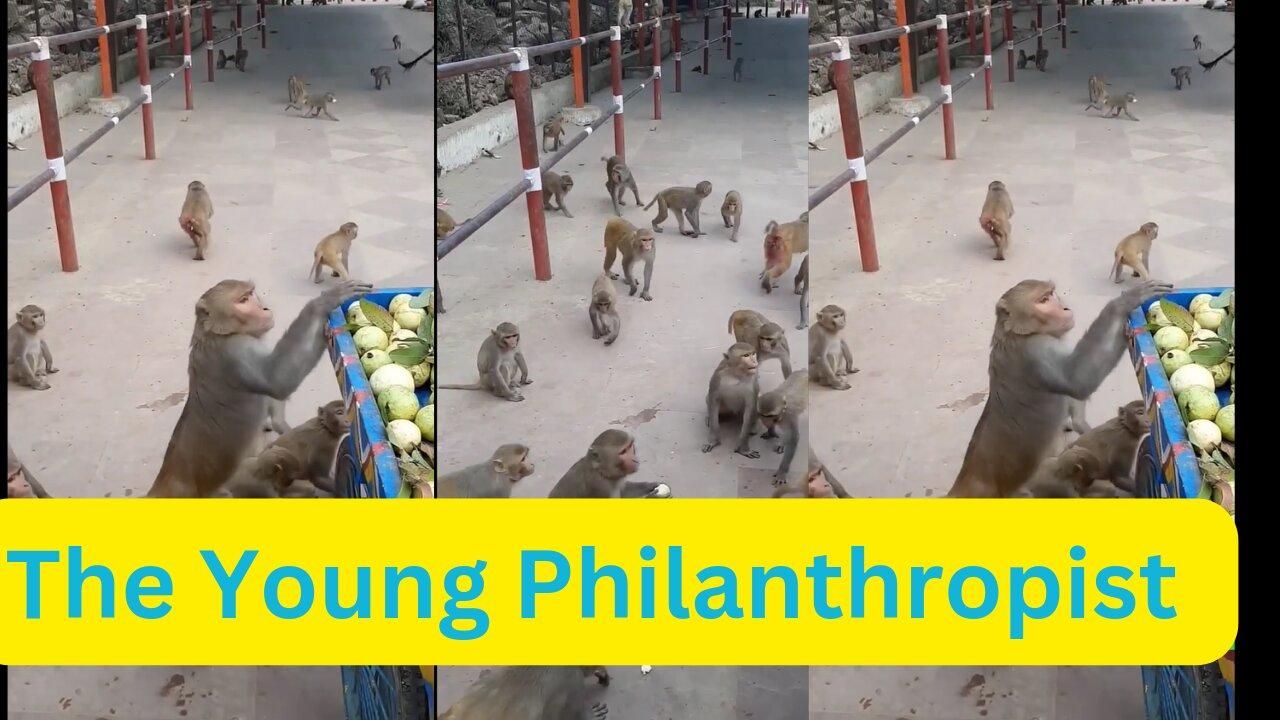 The Young Philanthropist