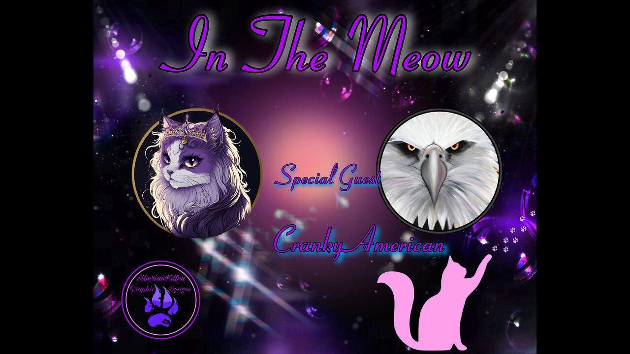 In The Meow | With Special Guest Cranky American