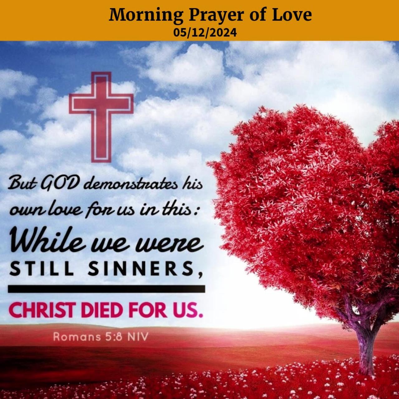 Morning Prayer of Love #youtubeshorts #grace #jesus #mercy #faith #fyp #blessed #trust #love #joy
