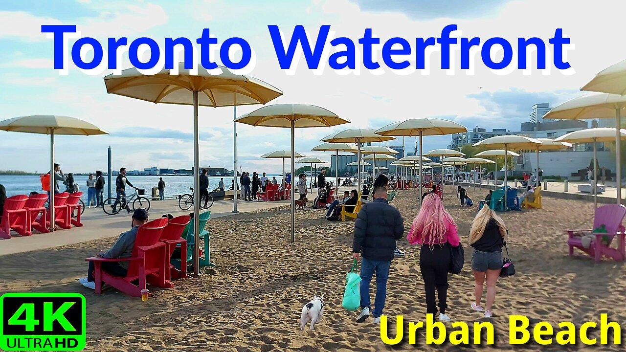 【4K】Toronto Waterfront & Urban Beach Canada 🇨🇦