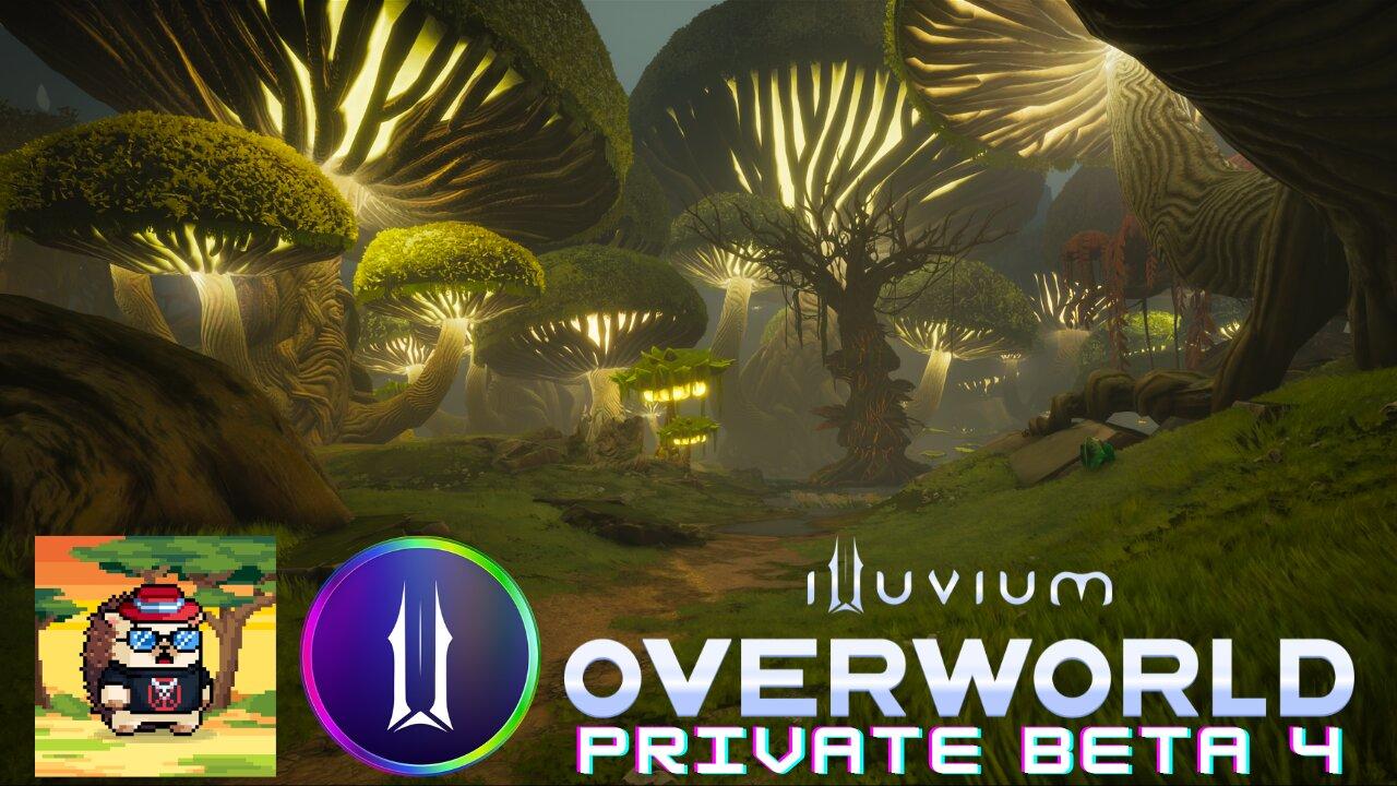 Illuvium Private Beta 4 (as a NEW Player) NOOB Plays Illuvium #Epic #Immutable
