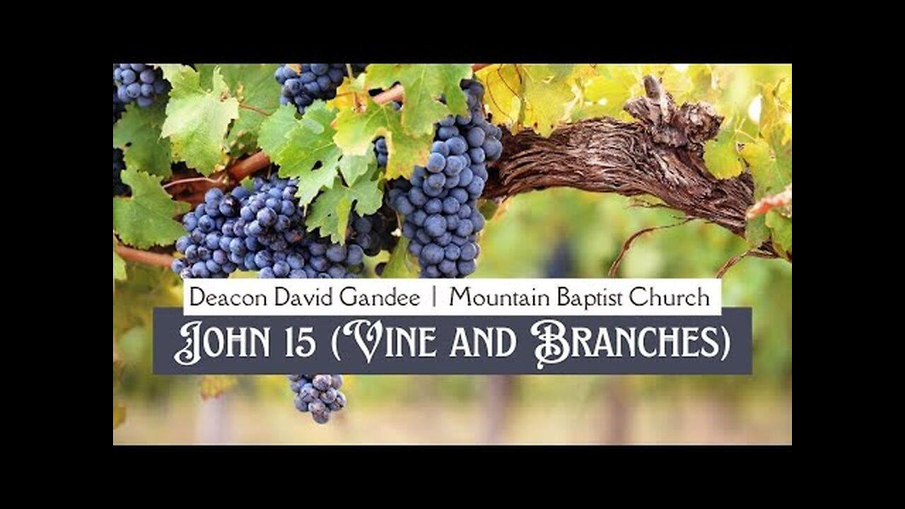 John 15 (Vine and Branches)   |  Deacon David Gandee