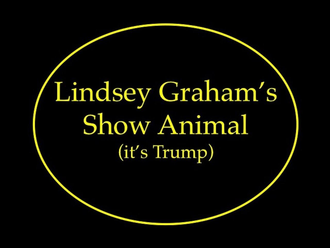 Lindsey Graham's Show Animal