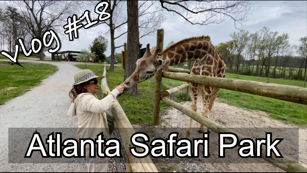 Vlog #18 - Atlanta Safari Park