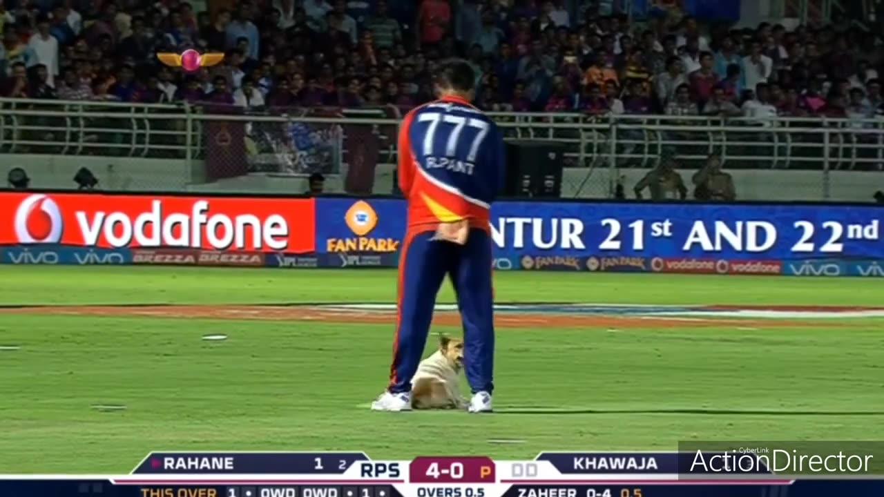 Even DOG wants to be part of IPL