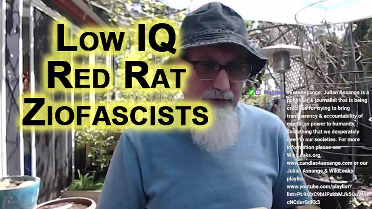 You Would Have To Be a Low IQ Red Rat To Be a Fascist: Good Riddance to Ziofascists
