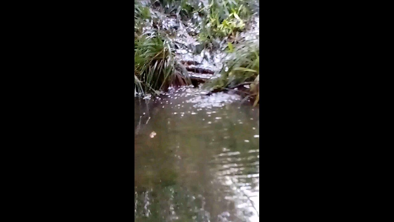 Living Waters Soothe the Soul. Come sit by the Creek for a While. ASMR Elemental Mini Meditation.
