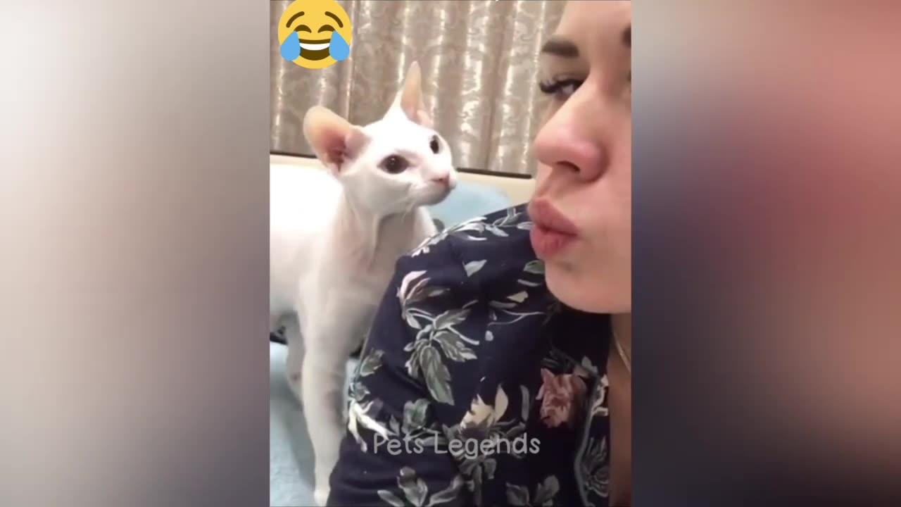 Funny pets moments