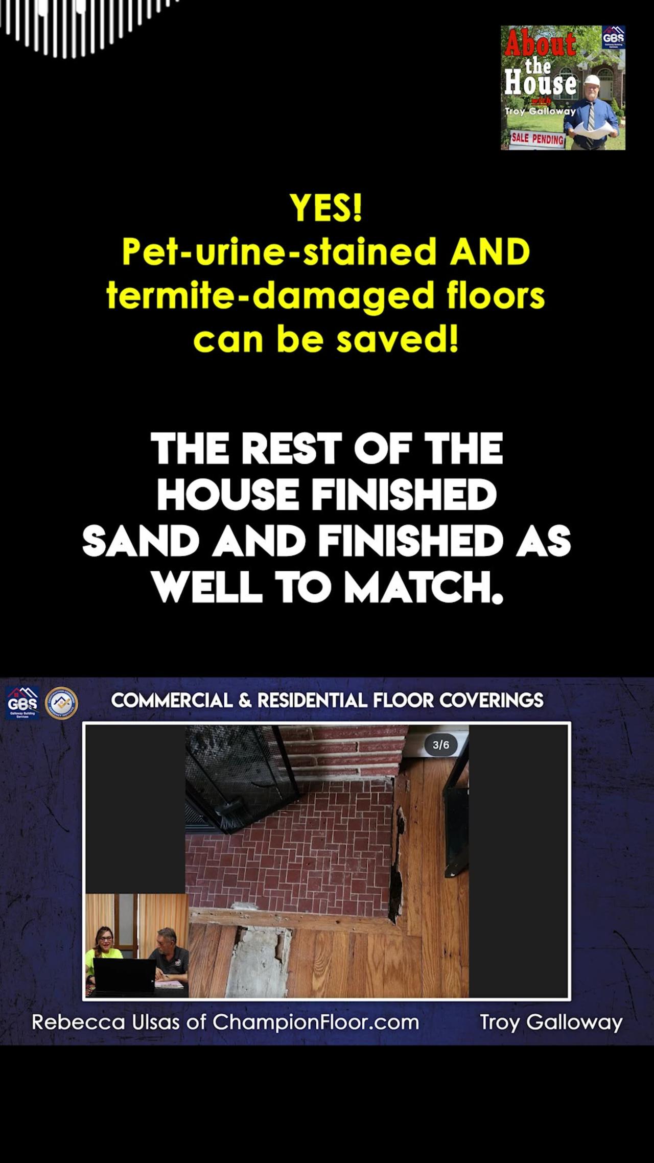 Pet-urine-stained and termite-damaged floors CAN be saved!