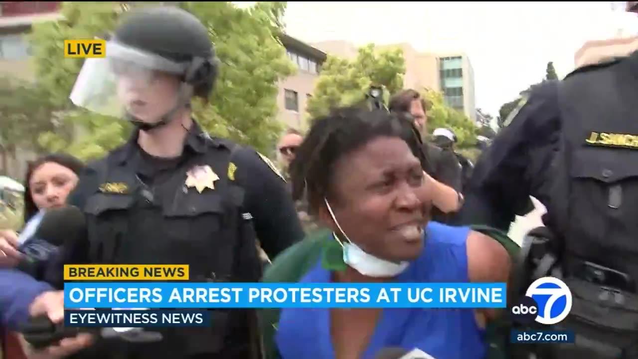 University of California professor's arrest caught on video... She seems stable