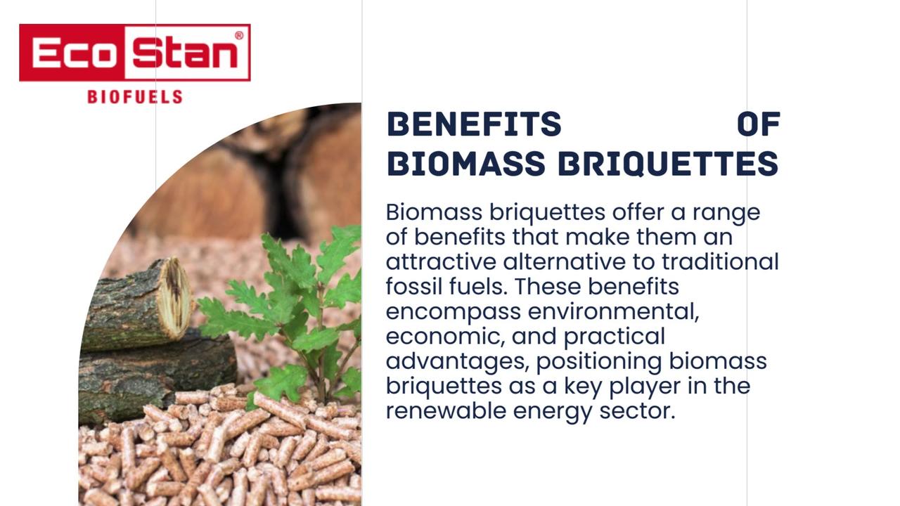 Harnessing Renewable Energy: An In-Depth Guide to Biomass Briquettes