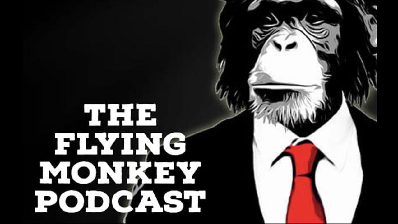 The Flying Monkey Podcast Ep.1 Pt.1 "The Problems with Family Court"